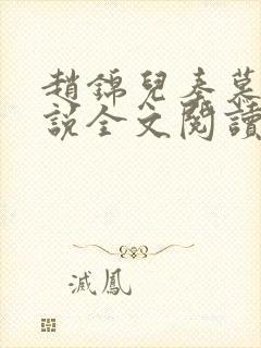 赵锦儿秦慕修小说全文阅读免费