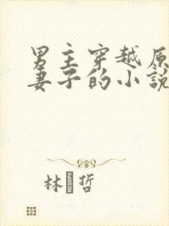 男主穿越原主有妻子的小说