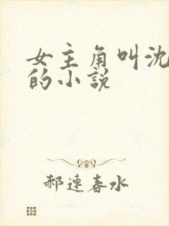 女主角叫沈清漪的小说