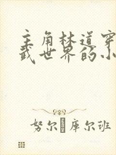 主角林道穿越高武世界的小说