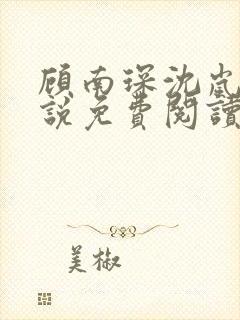 顾南琛沈岚晚小说免费阅读最新章节更新