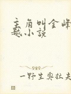 主角叫金峰的穿越小说