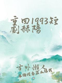 重回1993短剧赫阳