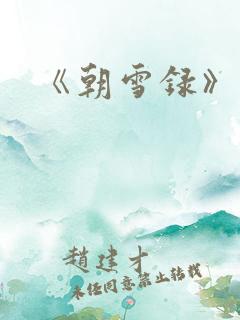 《朝雪录》小说