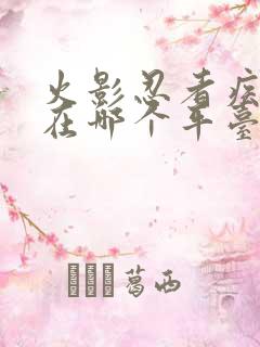 火影忍者疾风传在哪个平台看