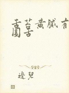 舌苔黄腻有点地图舌