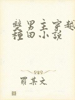 双男主穿越古代种田小说