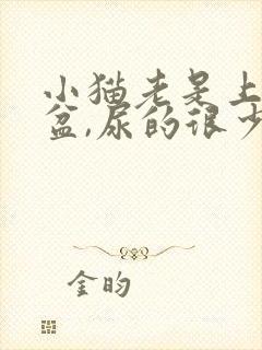 小猫老是上猫砂盆,尿的很少怎么办