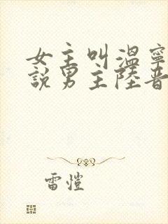 女主叫温宁的小说男主陆晋渊