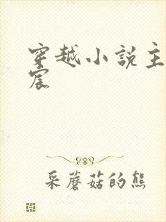 穿越小说主角宁宸