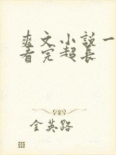 爽文小说一口气看完超长