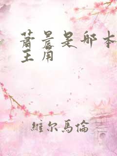 萧晨是哪本小说主角