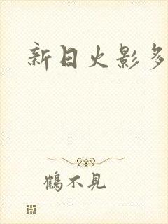 新日火影多少钱