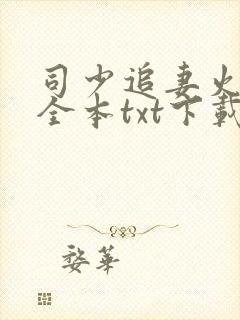 司少追妻火葬场全本txt下载