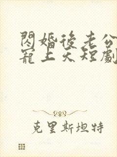 闪婚后老公把我宠上天短剧免费观看