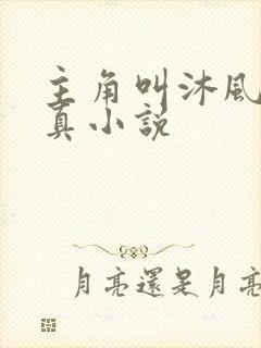 主角叫沐风的修真小说