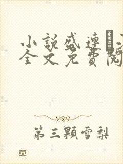 小说盛连玦江挽全文免费阅读最新章节