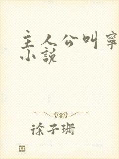 主人公叫宁宸的小说