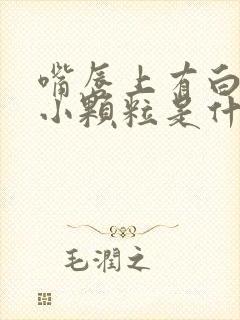 嘴唇上有白色的小颗粒是什么原因