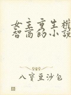 女主重生权谋高智商的小说