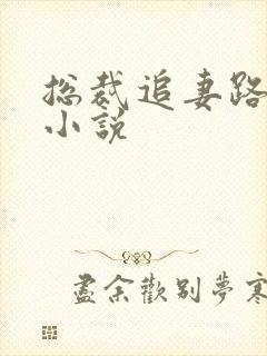 总裁追妻路漫漫小说