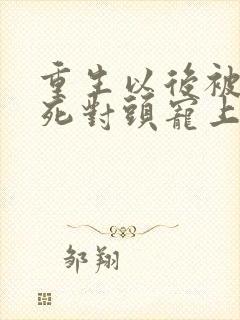 重生以后被渣男死对头宠上天