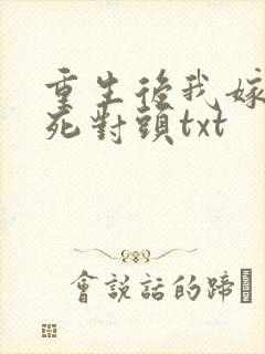 重生后我嫁给了死对头txt