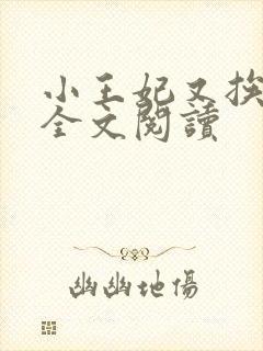 小王妃又挨揍了全文阅读