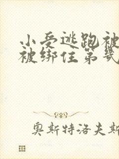 小受逃跑被囚禁被绑住第几集