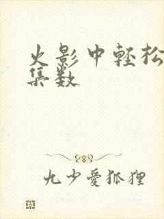 火影中轻松日常集数