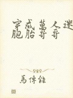 穿成万人迷的双胞胎哥哥