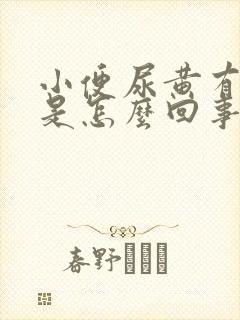 小便尿黄有异味是怎么回事