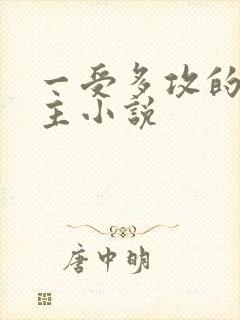 一受多攻的双男主小说