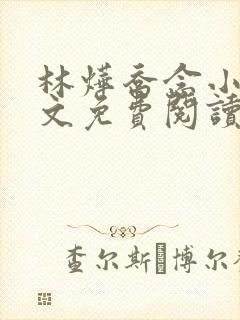 林烨乔念小说全文免费阅读