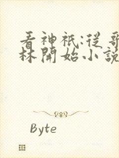 看神祇:从哥布林开始小说