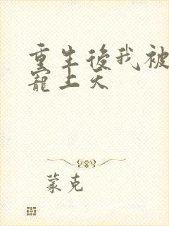 重生后我被大佬宠上天