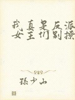 我真是反派啊,女主们别撩我了