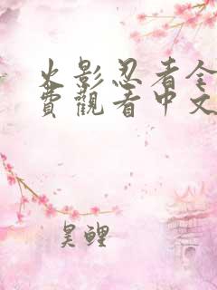 火影忍者全集免费观看中文