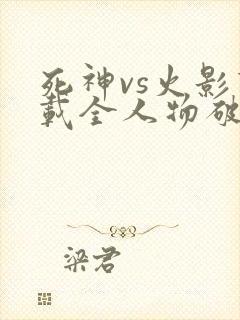 死神vs火影下载全人物破解版