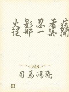 火影忍者疾风传从哪一集开始