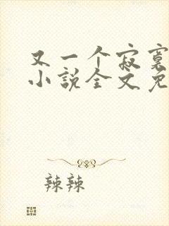 又一个寂寞冬夏小说全文免费阅读