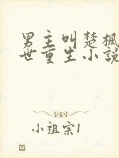 男主叫楚枫的末世重生小说