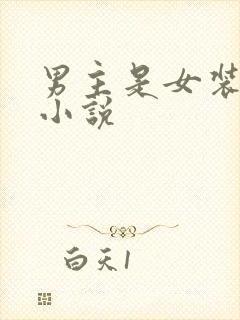 男主是女装大佬小说