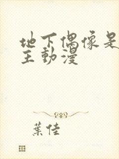 地下偶像是双男主动漫