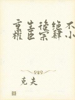 重生后绝不嫁给权臣宗肆小说