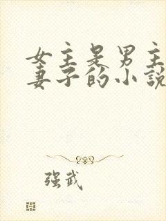 女主是男主下属妻子的小说