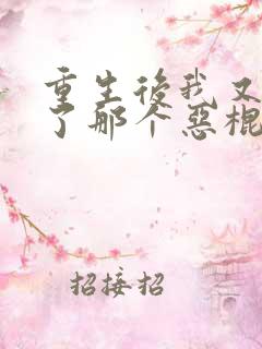 重生后我又嫁给了那个恶棍 沐雨安岚