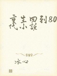 重生回到80年代小说