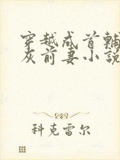 穿越成首辅的炮灰前妻小说