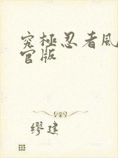 究极忍者风暴4官版